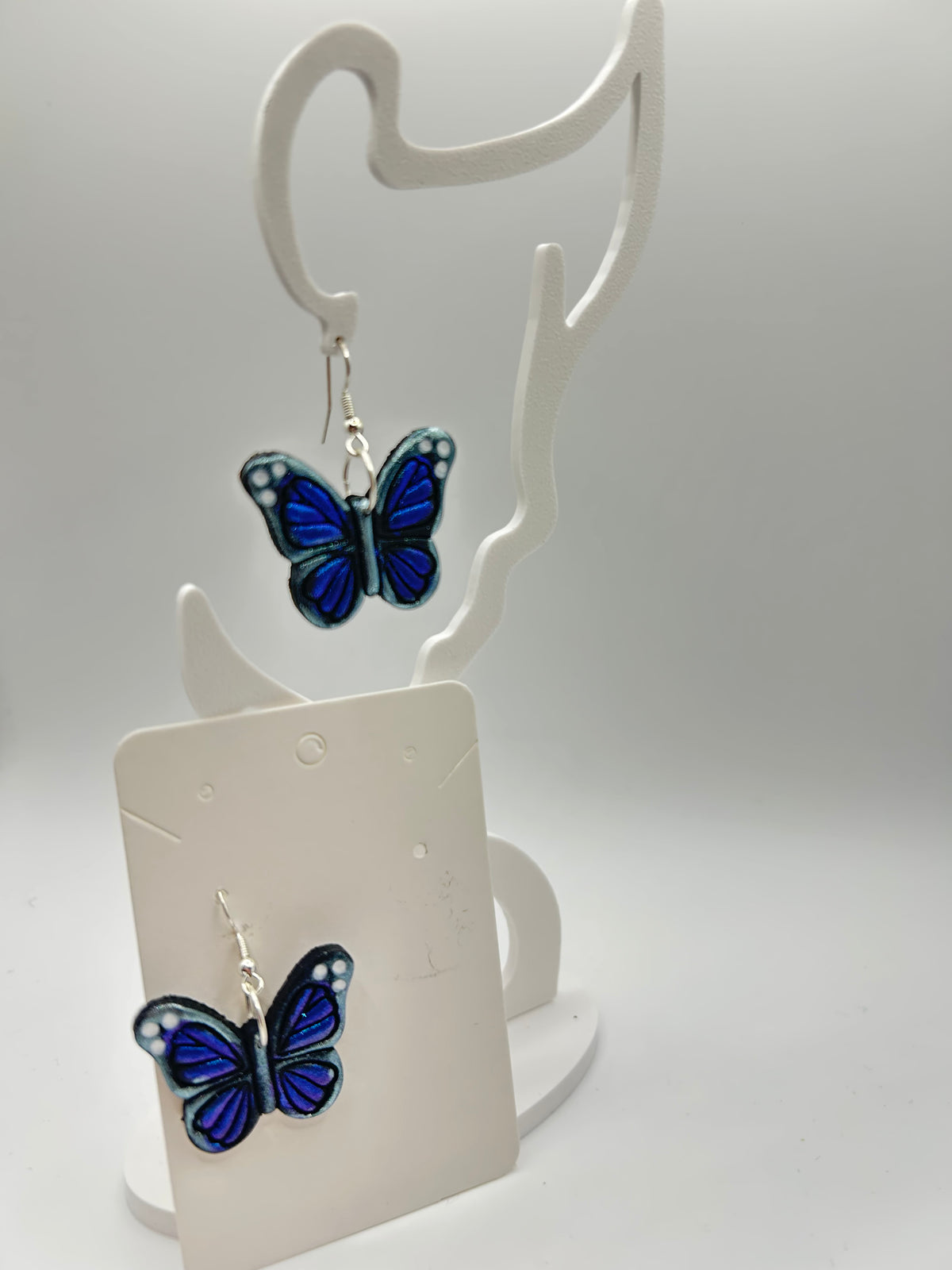 What's New in the Shop!